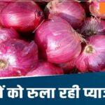 Onion Price Hike : प्याज के दाम में उछाल, रायपुर समेत इन शहरों में प्रति किलो इतना है भाव